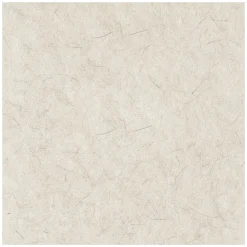 Boardwalk 17 in. Diameter Natural Burnishing Floor Pads - White (5/Carton)