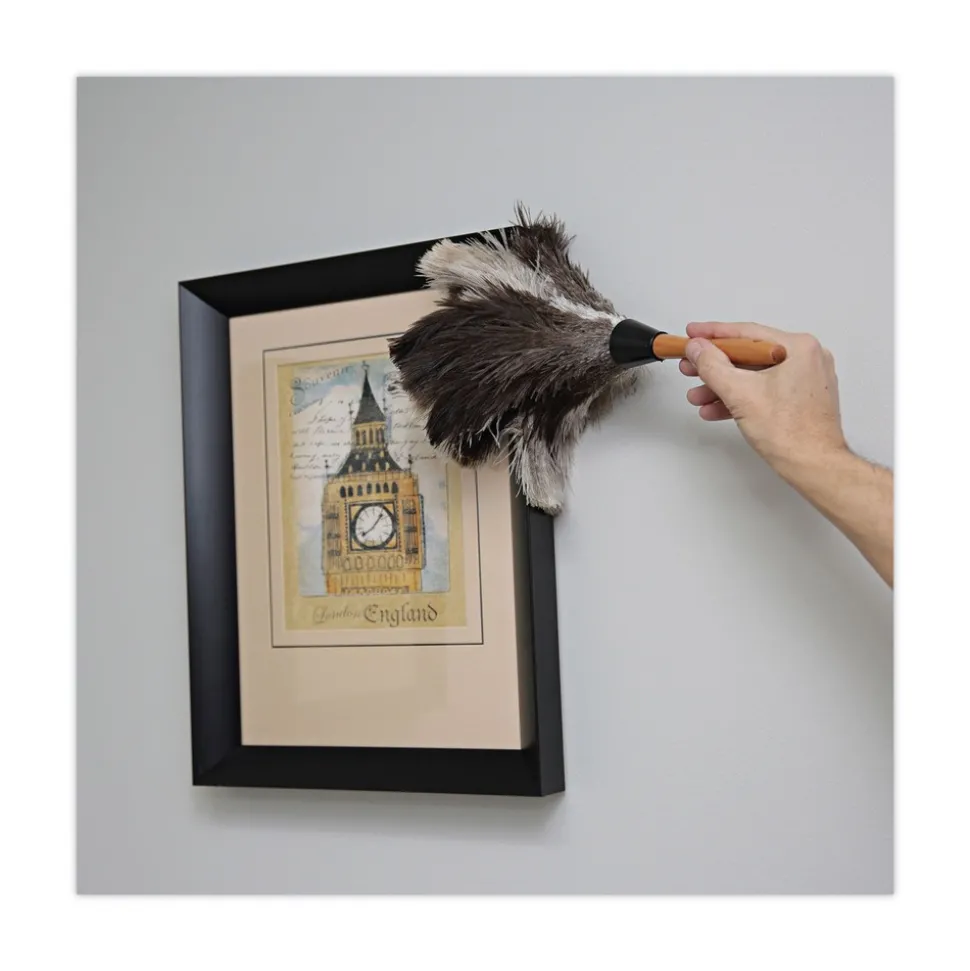 Boardwalk 7 in. Handle Professional Ostrich Feather Duster