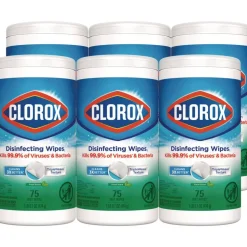 Clorox 7 in. x 8 in. 1-Ply Disinfecting Wipes - Fresh Scent, White (450/Carton)