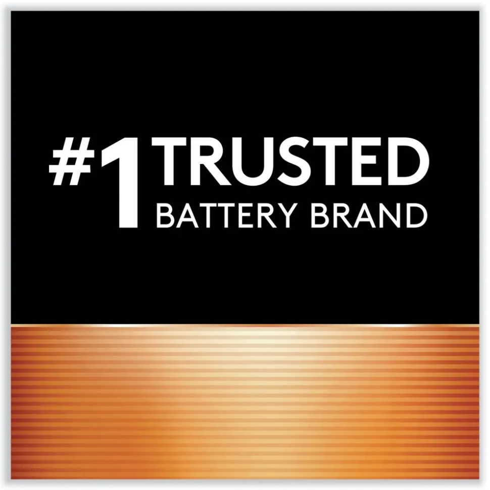 Duracell Power Boost CopperTop Alkaline AAA Batteries (40/Carton)