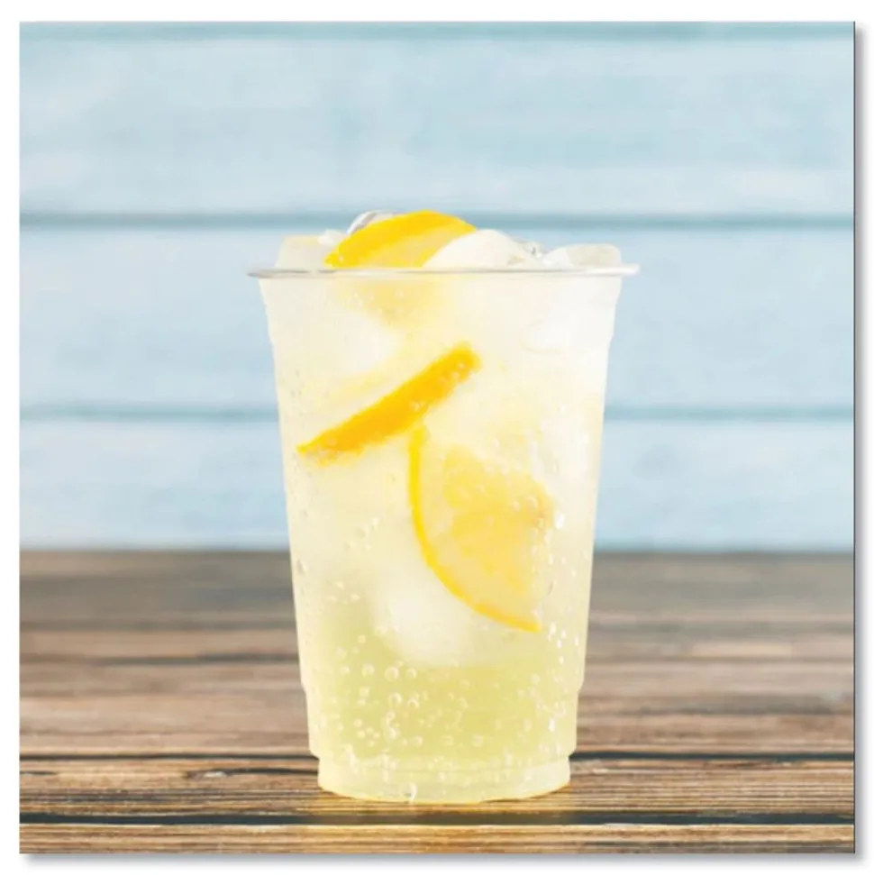 Karat 10 oz. PET Plastic Cups - Clear (1000/Carton)