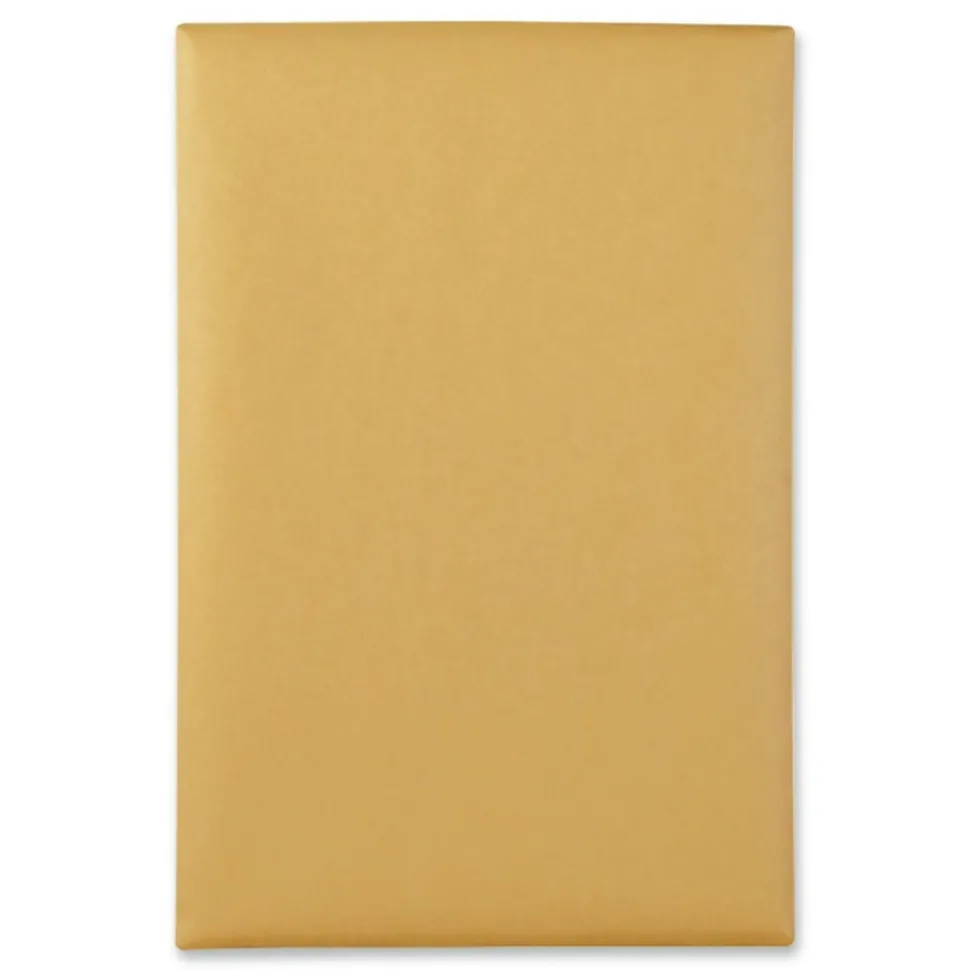 Quality Park 6 in. x 9 in. #55 Square Flap Clasp/Gummed Closure Clasp Envelope - Brown Kraft (500/Carton)
