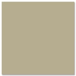 Rust-Oleum 12 oz. Aerosol Can Camouflage Spray Paint - Flat Sand