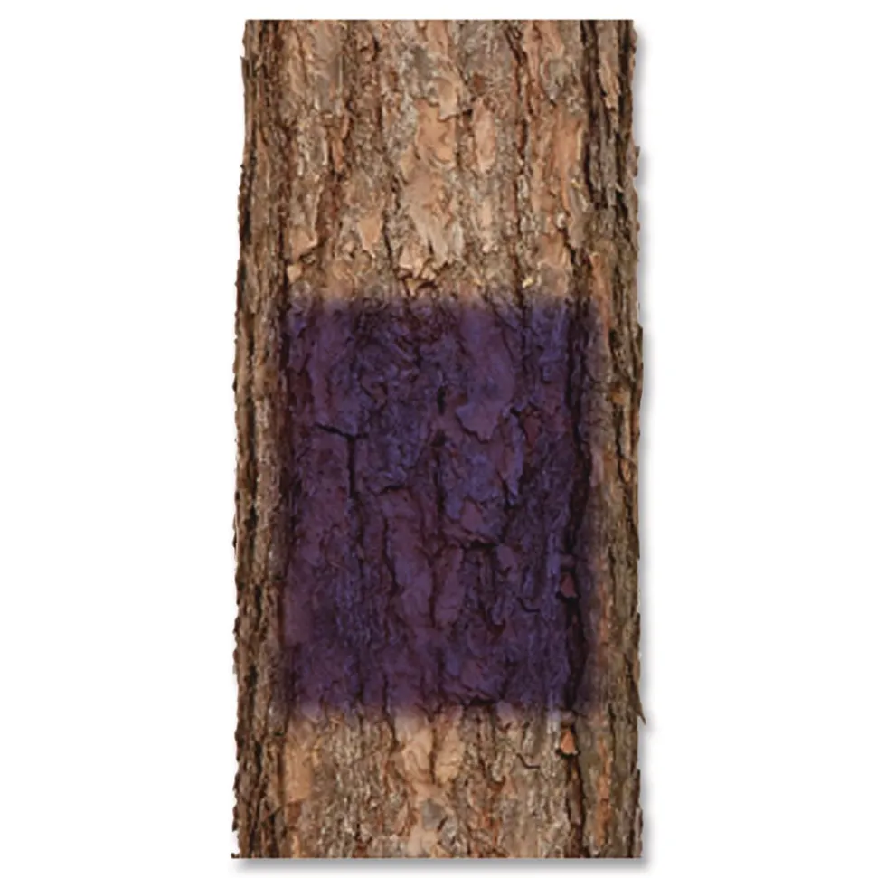 Rust-Oleum 12 oz. Aerosol Can Specialty No Hunting Spray Paint - Purple