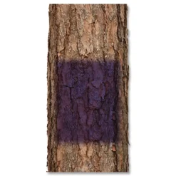 Rust-Oleum 12 oz. Aerosol Can Specialty No Hunting Spray Paint - Flat Purple (6/Carton)