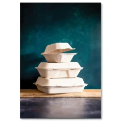 Vegware 7.9 x 7.9 x 2.9 Nourish Molded 3-Compartment Compostable Fiber Takeout Containers - White (200/Carton)
