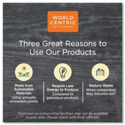 World Centric 6.5 in. x 7.5 in. x 0.3 in. PLA Rectangular Plastic Deli Container Lids - Clear (600/Carton)