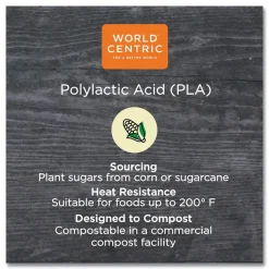World Centric 4.8 in. x 5.9 in. x 0.3 in. PLA Rectangular Plastic Deli Container Lids - Clear (900/Carton)