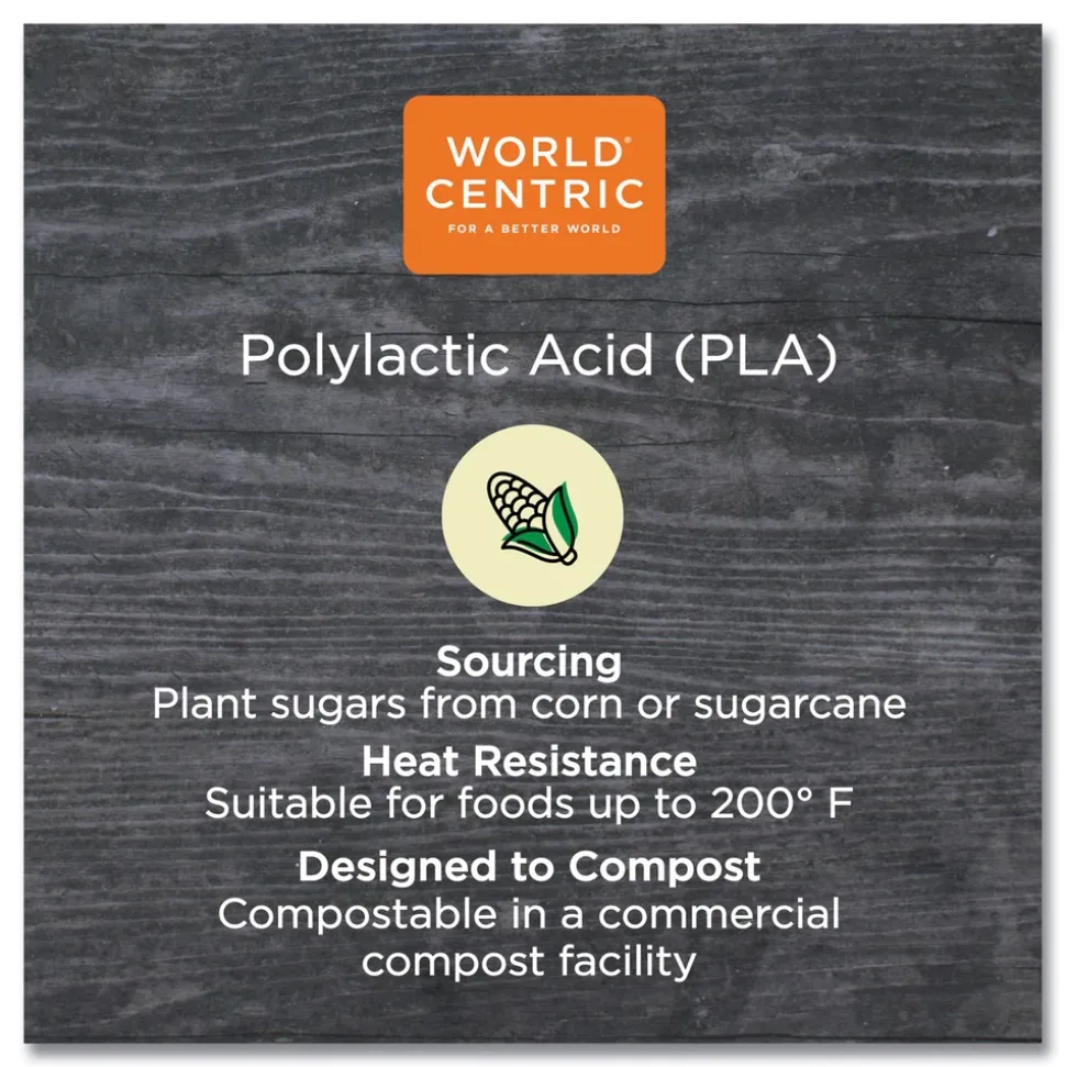World Centric 4.8 in. x 5.9 in. x 0.3 in. PLA Rectangular Plastic Deli Container Lids - Clear (900/Carton)