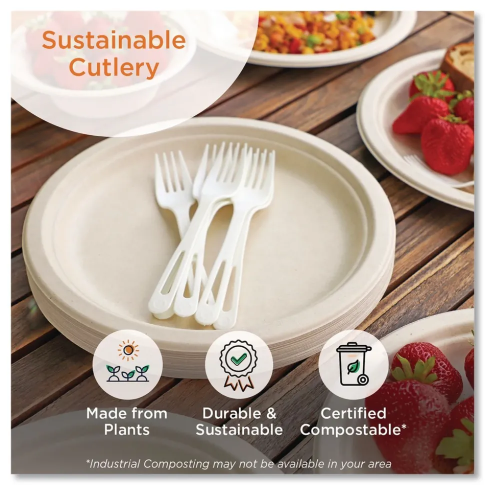 World Centric SO-PS-B TPLA Compostable Cutlery Soup Spoon - White (1000/Carton)